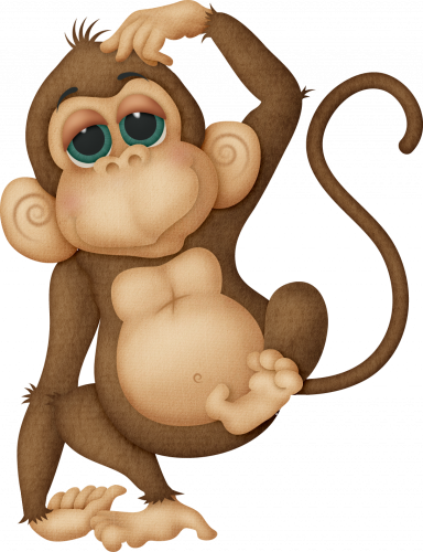 cute little monkey illustration