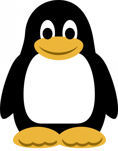 cute little penguin kid