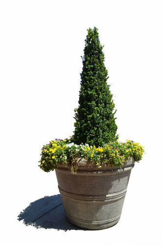 flowerpot vase flower pot flower spruce png