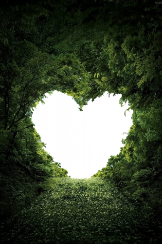 heart shape nature valentines day photo frame