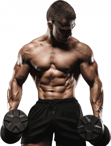 men bodybuilding and fitness, men physical fitness, gym men fitness free png