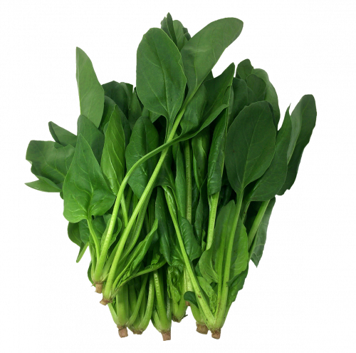 spinach komatsuna leaf vegetable, collard greens, leaf vegetables, green leaf egetable, free png