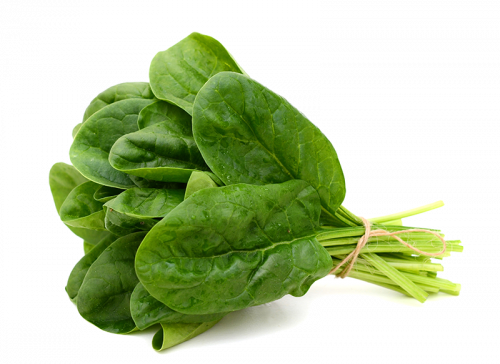 spinach leaf vegetable, leaf vegetables, green leaf vegetable, spinach leaf free png