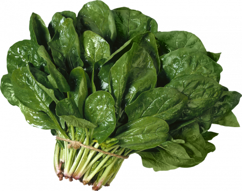 vegetarian cuisine leaf vegetable spinach salad, spinach, food, leaf vegetable free png