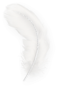 white feather decorative transparent png