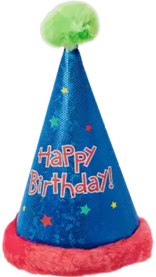 Birthday cap, Birthday party hat blue and pink color, birthday wear